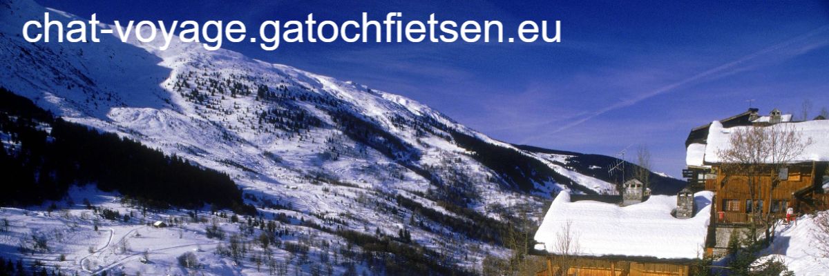 chat-voyage.gatochfietsen.eu